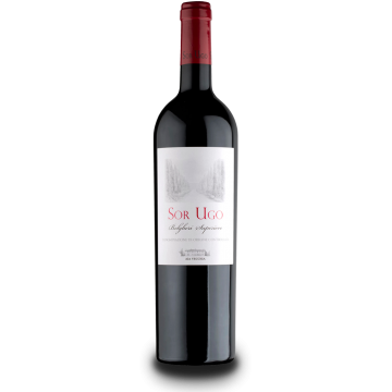 AIA Vecchia Sor Ugo Bolgheri Rosso Superiore DOC 1.5l